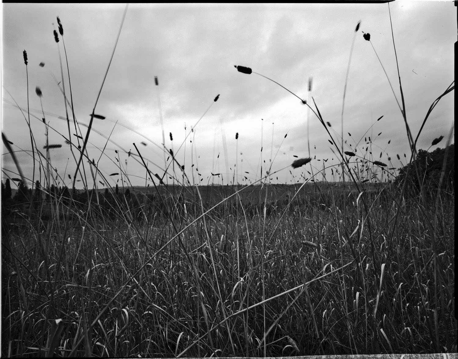 NATURE-LANDSCAPE